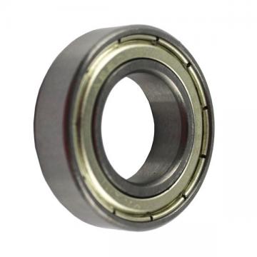 Double Row Self-Aligning Ball Bearing 1305 Etn9 with Polymide Cage