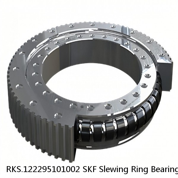 RKS.122295101002 SKF Slewing Ring Bearings