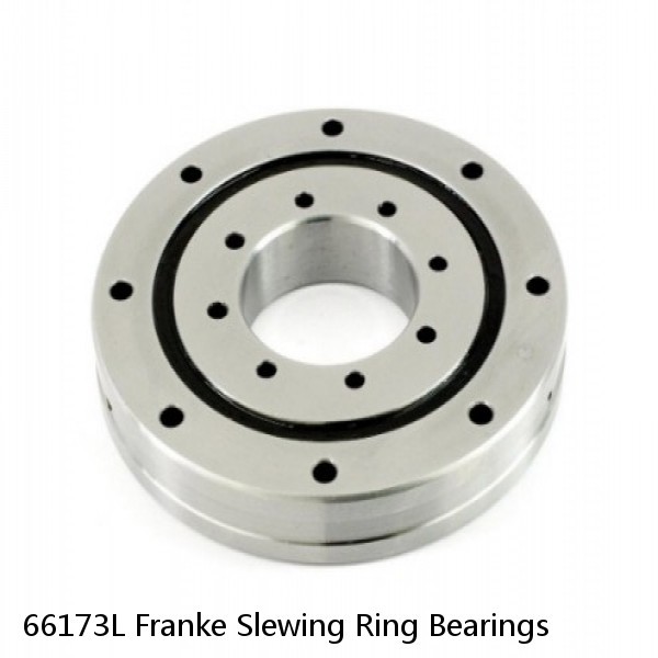 66173L Franke Slewing Ring Bearings