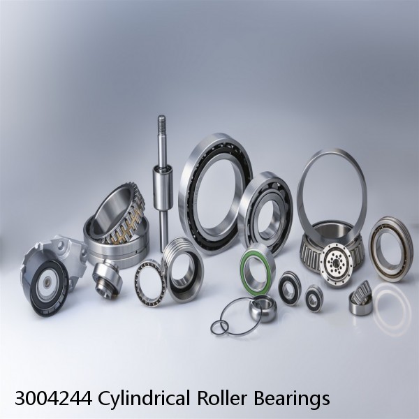 3004244 Cylindrical Roller Bearings #1 small image
