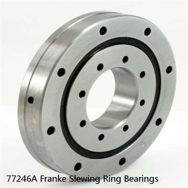 77246A Franke Slewing Ring Bearings