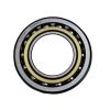 6224 Deep Groove Ball Bearing/ Open Zz 2RS N Nr/ OEM/ Factory Product/ 6200 Series/ Dsr Bearing/ China Brand Bearing/ Material Handling/Oil & Gas Bearing