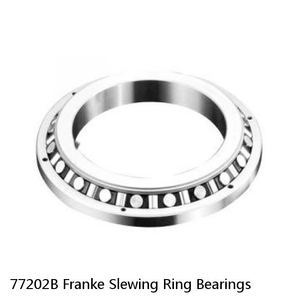 77202B Franke Slewing Ring Bearings