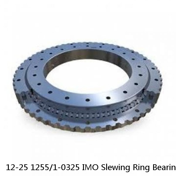 12-25 1255/1-0325 IMO Slewing Ring Bearings #1 small image