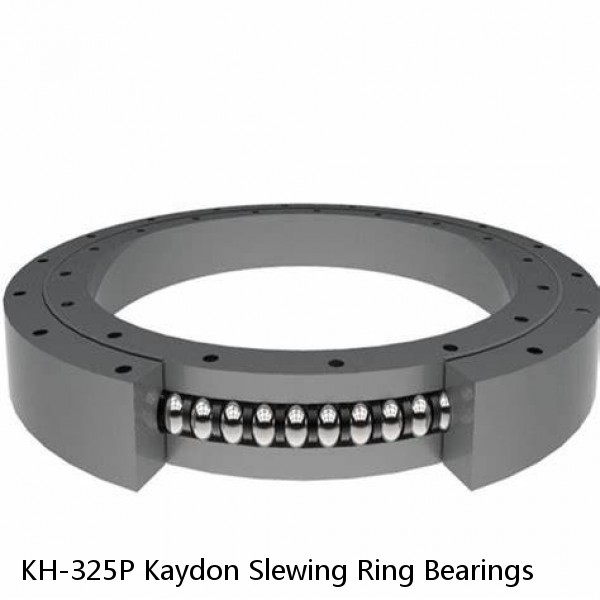 KH-325P Kaydon Slewing Ring Bearings #1 small image