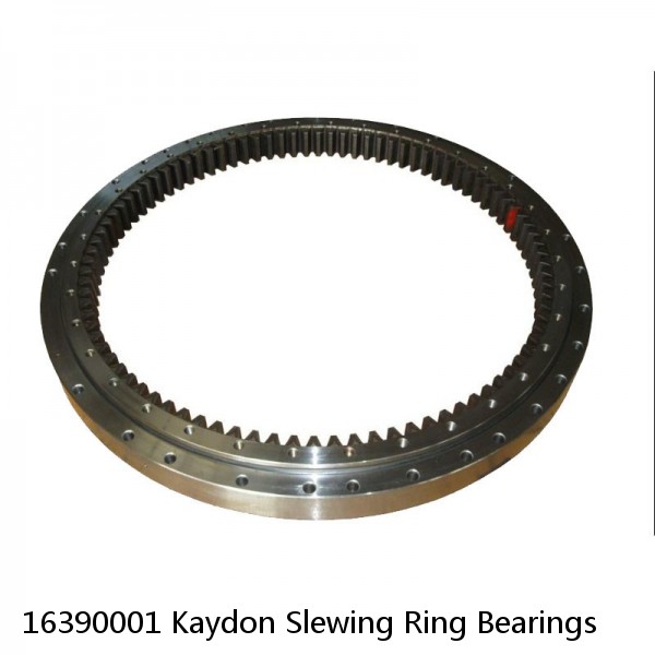 16390001 Kaydon Slewing Ring Bearings #1 small image