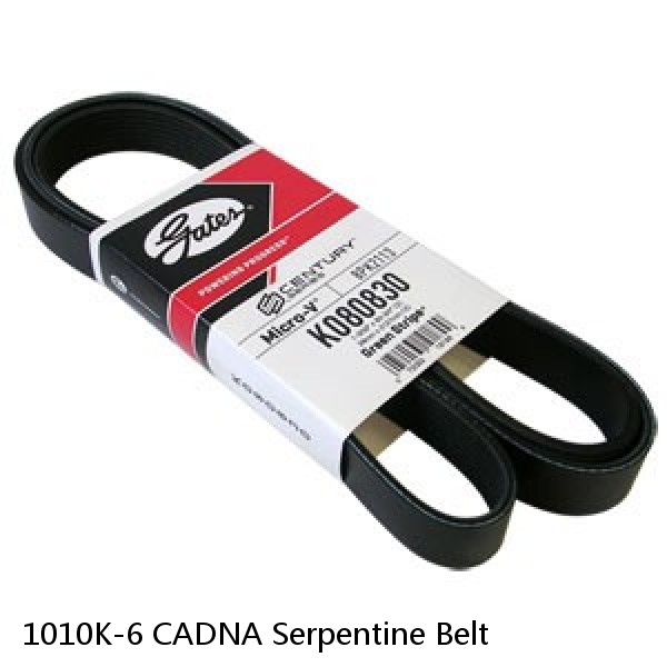 1010K-6 CADNA Serpentine Belt  #1 small image