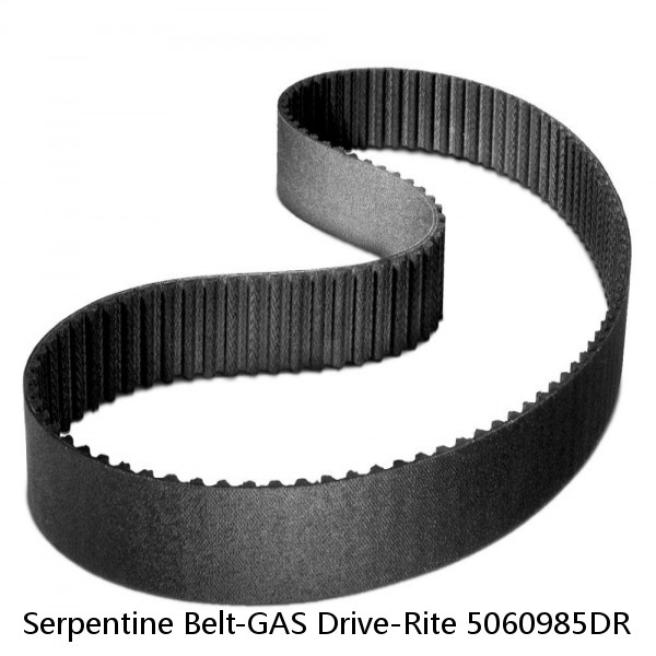Serpentine Belt-GAS Drive-Rite 5060985DR #1 small image