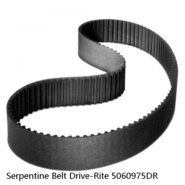Serpentine Belt Drive-Rite 5060975DR #1 small image