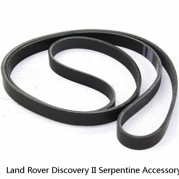 Land Rover Discovery II Serpentine Accessory Drive Belt Without ACE New by Dayco #1 small image