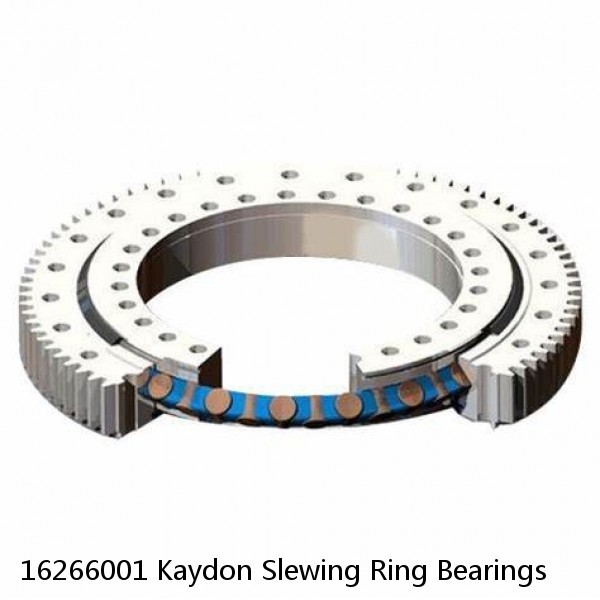 16266001 Kaydon Slewing Ring Bearings #1 image