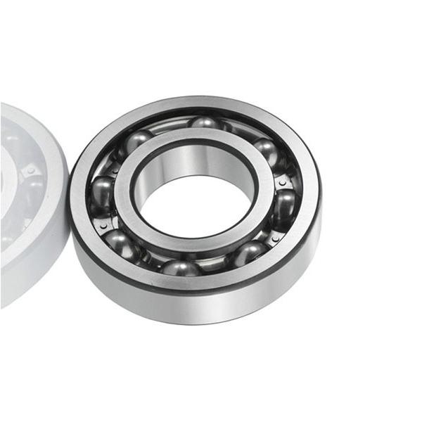 Nu2204etvp2/C3 Cylindrical Roller Bearing P5 Quality #1 image