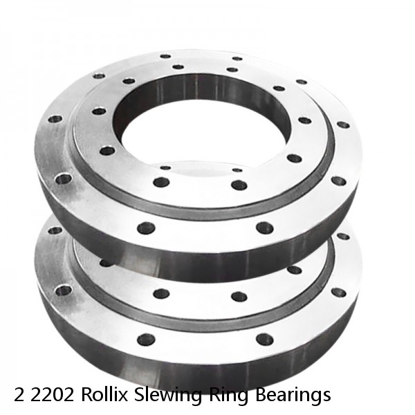 2 2202 Rollix Slewing Ring Bearings #1 image