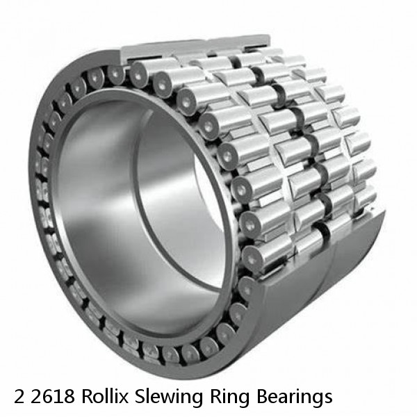 2 2618 Rollix Slewing Ring Bearings #1 image
