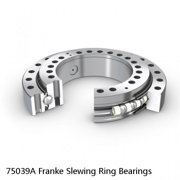 75039A Franke Slewing Ring Bearings #1 image