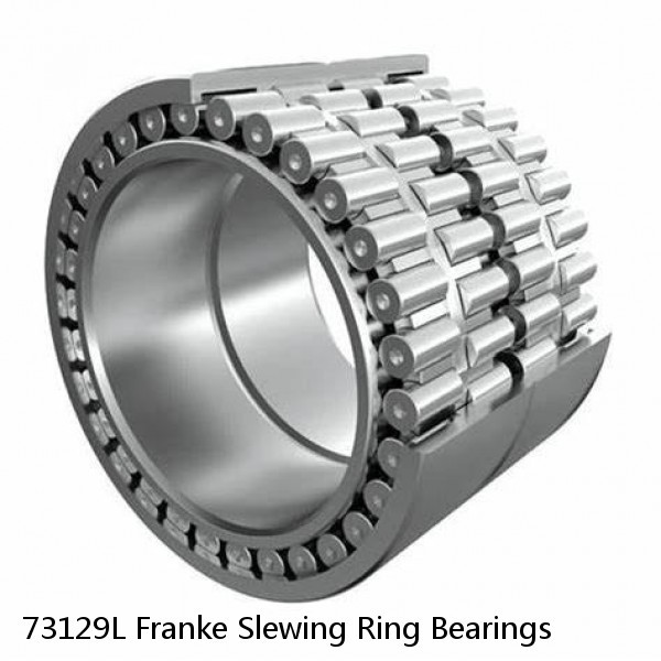 73129L Franke Slewing Ring Bearings #1 image