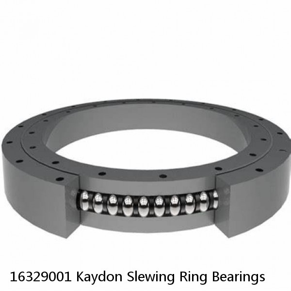16329001 Kaydon Slewing Ring Bearings #1 image