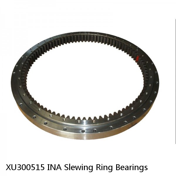 XU300515 INA Slewing Ring Bearings #1 image